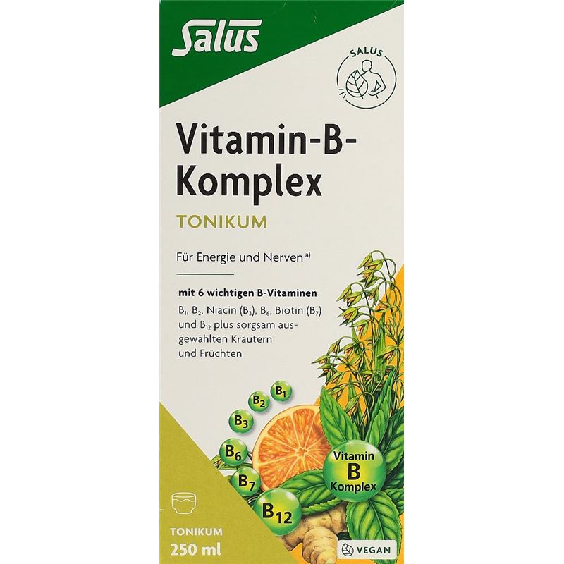SALUS Vitamin-B-Komplex Tonikum Fl 250 ml