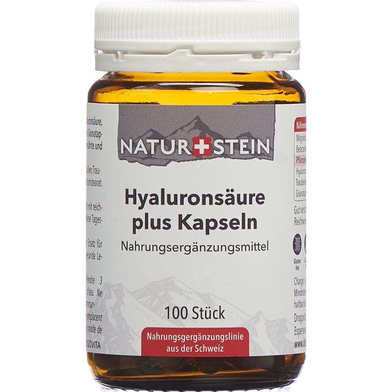 NATURSTEIN Hyaluronsäure plus Kaps Glas 100 Stk