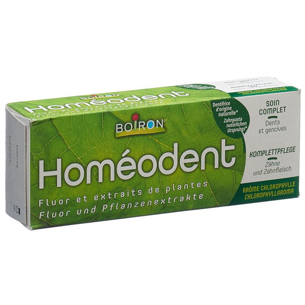 HOMEODENT Zahn Zahnfleischpflege Chlorophyll 75 ml