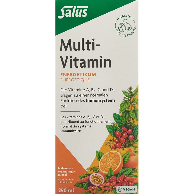 SALUS Multi-Vitamin Energetikum Fl 250 ml