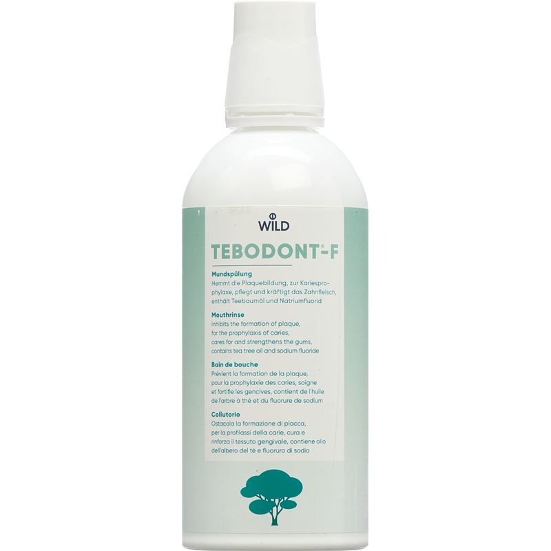 TEBODONT-F Mundspülung Petfl 500 ml