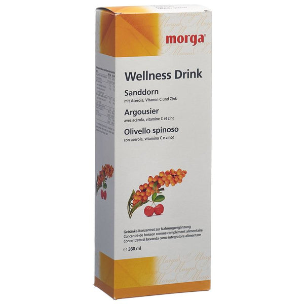 MORGA Sanddorn Wellness Drink Fl 380 ml